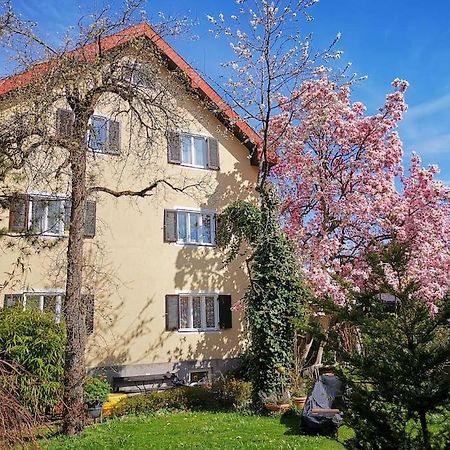 70Qm 3-Zimmer Apartment Am Tauernradweg In Hallein Bei Salzburg, Nahe Berchtesgaden, Rossfeld, Kehlsteinhaus, Obersalzberg, Watzmann, Schoenau Am Koenigsee, Bad Vigaun, Schloss Hellbrunn, Burg Hohen Salzburg, Burg Hohen Werfen # Beherbergungsbetrieb Exteriör bild