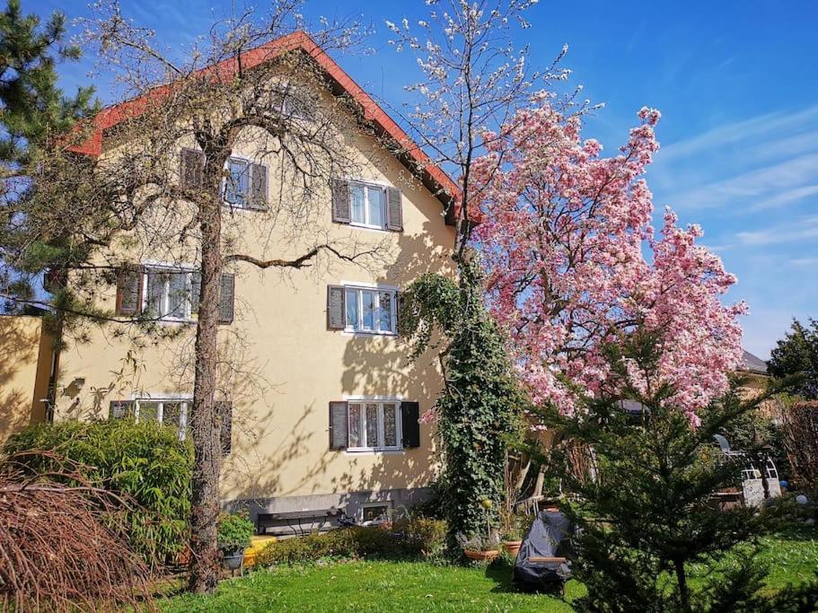 70Qm 3-Zimmer Apartment Am Tauernradweg In Hallein Bei Salzburg, Nahe Berchtesgaden, Rossfeld, Kehlsteinhaus, Obersalzberg, Watzmann, Schoenau Am Koenigsee, Bad Vigaun, Schloss Hellbrunn, Burg Hohen Salzburg, Burg Hohen Werfen # Beherbergungsbetrieb Exteriör bild