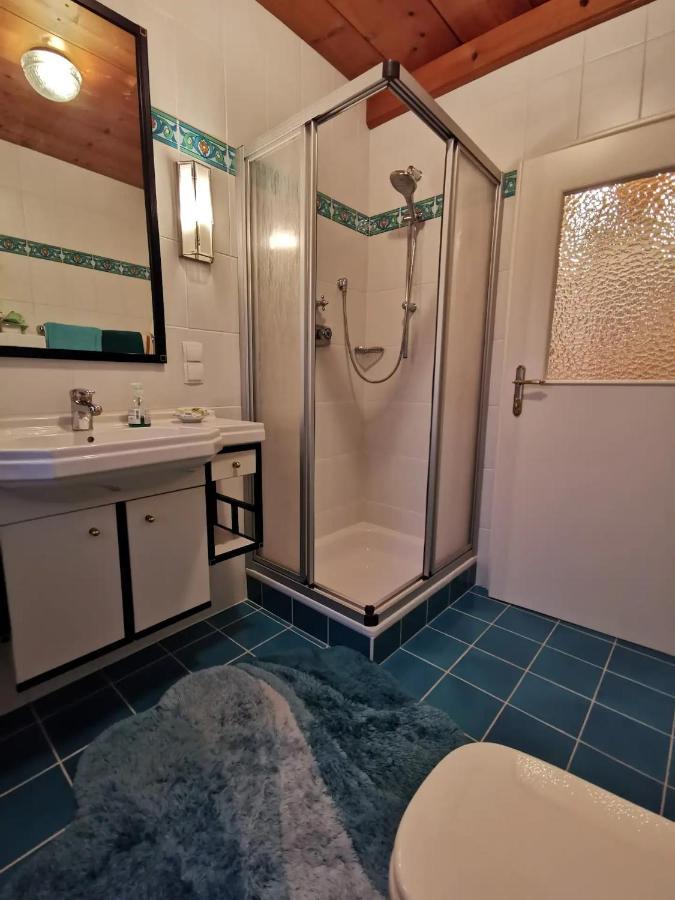 70Qm 3-Zimmer Apartment Am Tauernradweg In Hallein Bei Salzburg, Nahe Berchtesgaden, Rossfeld, Kehlsteinhaus, Obersalzberg, Watzmann, Schoenau Am Koenigsee, Bad Vigaun, Schloss Hellbrunn, Burg Hohen Salzburg, Burg Hohen Werfen # Beherbergungsbetrieb Exteriör bild